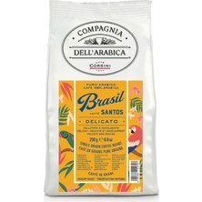 Caffe Corsini Brezilya Santos Arabica Çekirdek Kahve 250 gr