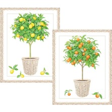Caspari Citrus Topiaries 10'lu Not Kağıdı ve Zarf Seti