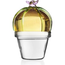 Ichendorf Milano Desert Plants Pembe Çiçekli Kaktüs Figürlü Cam Dekoratif Obje