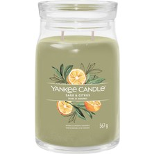 Yankee Candle Sage And Citrus Yeşil Büyük Mum 567 G