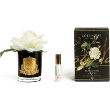 Cote Noire Beyaz Gold Tek Güllü Oda Kokusu