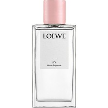 Loewe Ivy 150 ml Oda Kokusu