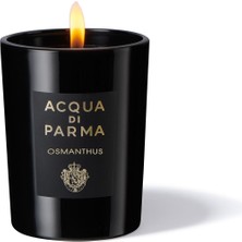 ACQUA DI PARMA Sıgnatures Osmanthus Candle 200 Gr.