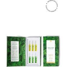 Royal Fern Phytoactive Ampoule Discovery Set 6x2 ml