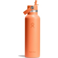 Hydro Flask Standard Kapak Pipetli Termos 621 ml
