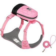 True Love Bio-Based Pembe Köpek Tasma Seti