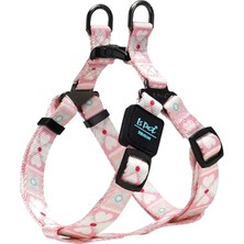 Spacedogs Ispet Pinky Step-In Köpek Göğüs Tasması