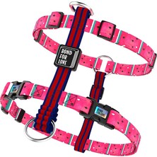 Spacedogs Ispet Karpuz Spider Model Köpek Tasması
