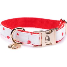 Gliparis Elche Köpek Boyun Tasması