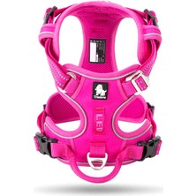 True Love Alüminyum D-Halkalı Pembe Köpek Göğüs Tasması