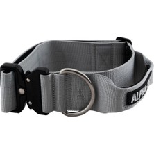 Alphagrip Pro Gri Köpek Boyun Tasması