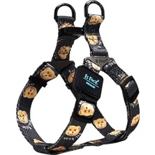 Spacedogs Ispet Teddy Step-In Köpek Göğüs Tasması