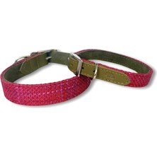 Mind The Mod Splendid Fuchsia Köpek Köpek Boyun Tasması