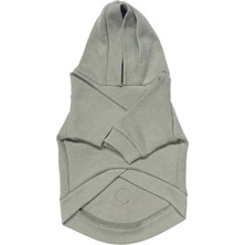 Yeşil Kapüşonlu Küçük Irk Köpek Sweatshirt