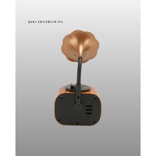 Eco Lounge Kablosuz Retro Radyo Hoparlör 5W Güçlü Ses USB Hafıza Kart Destekli Yeni Nesil
