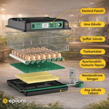 Eco Lounge FX192 Model Tam Otomatik Kuluçka Makinesi - Tüm Kanatlı Hayvanlara Uyumlu Yeni Nesil Su Hazneli Süngerli Sistem