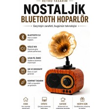 Vaelmont Gramofon Görünümlü Mini Retro Bluetooth Hoparlör ve Plak Çalar Nostaljik Radyo