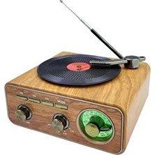 Vaelmont Plak Görünümlü Nostaljik Radyo, USB ve Fm Çalar Özelliğiyle