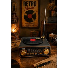 Vaelmont Nostaljik Görünümde Çok Bantlı Taşınabilir Radyo ve Bluetooth Hoparlör Nostaljik Radyo