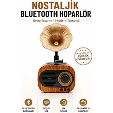 Vaelmont Plak Görünümlü Mini Bluetooth Hoparlör, Nostaljik Tasarım Nostaljik Radyo