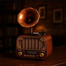Vaelmont Gramofon Görünümlü Bluetooth Hoparlör - 3 Bant Radyo ve Çoklu Bağlantı Seçe Nostaljik Radyo