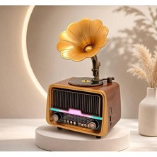 Vaelmont Ahşap Görünümlü Bluetooth ve Am/fm Radyo, Retro Tasarım Nostaljik Radyo