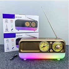 Vaelmont Rgb Işıklı Şarjlı Nostaljik Radyo ve Bluetooth Hoparlör