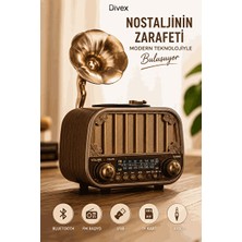 Vaelmont Retro Bluetooth Hoparlör ve Radyo, Çoklu Frekans ve USB Desteği Nostaljik Radyo