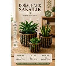 Maison Luré El Yapımı Doğal Hasır Saksılık Seti ile Bitki ve Çiçeklerinizi Şık Sunun Sepet