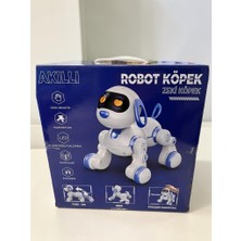 Toptan Bulurum 6601 Uzk Kumandalı Dans Edebilen Robot Köpek