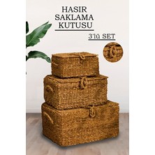 Maison Luré Kapaklı Hasır Saklama Kutusu Seti, Çok Amaçlı ve Düzenleyici Sepet