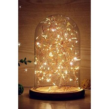 Maison Luré Pilli 5 Metre Peri LED Günışığı Dekoratif Aydınlatma Masa ve Gece Lambası
