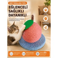 Maison Luré Sisal Toplu Tırmalama ve Oyun Alanı Kedi Oyuncağı Kedi Tırmalaması