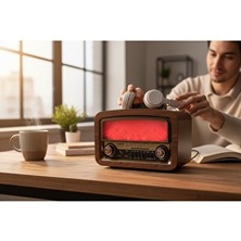 Maison Luré Şömineli Nostaljik Radyo: Kahverengi ve Vintage Atmosfer