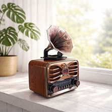 Maison Luré Rgb LED Işıklı Bluetooth Müzik Çalar ve Radyo Nostaljik Radyo