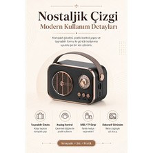 Maison Luré Vintage Bluetooth Radyo ile Retro Tasarım ve Çoklu Medya Desteği Nostaljik Radyo