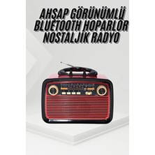 Maison Luré Usb-Sd Kart Girişli LED Fenerli Bluetooth Radyo, Retro Stil Nostaljik Radyo