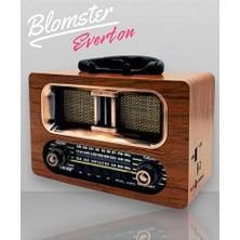 Maison Luré Everton Nostaljik Radyo ve Müzik Çalar, Şık Tasarım