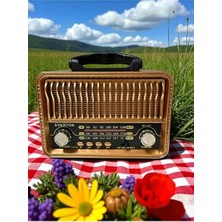 Maison Luré Çok Fonksiyonlu Nostaljik Radyo ile Bluetooth, USB ve Fm Özellikleri