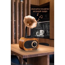Maison Luré Mini Nostaljik Radyo Gramofon - Bluetooth ve USB Bağlantılı Retro Müzik Kut