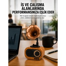Maison Luré Kablosuz Retro Radyo Hoparlör: Güçlü Ses ve USB Hafıza Desteği Nostaljik Radyo