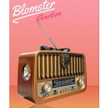 Maison Luré Everton Fenerli Bluetooth ve Fm Nostalgik Radyo ve Müzik Çalar Nostaljik Radyo
