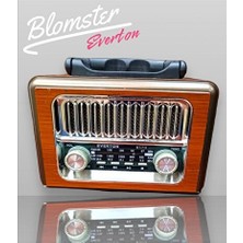 Maison Luré Ahşap Tasarımlı Güneş Enerjili Radyo ve Müzik Kutusu, Bluetooth ve USB Nostaljik Radyo