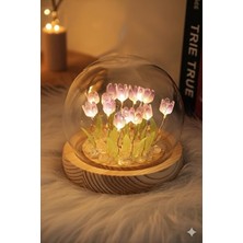 Maison Luré Fanus Içinde Lale Bahçesi Tasarımlı LED Masa Lambası Masa ve Gece Lambası