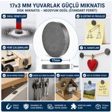 Mıknatıs 17X3 mm Yuvarlak Güçlü Mıknatıs Disk Mıknatıs