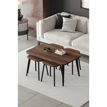 Emideco Zigon ve Orta Sehpa 5'li Takım , Metal Ayaklı , Roma 4+1 Sehpa , Siyah Metal - Barok Tabla