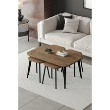 Emideco Zigon ve Orta Sehpa 5'li Takım , Metal Ayaklı , Roma 4+1 Sehpa , Siyah Metal - Atlantik Çam Tabla