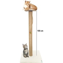 Velmora Yüksekliğiyle Irmalama Tahtası | Kedi Tırmalaması