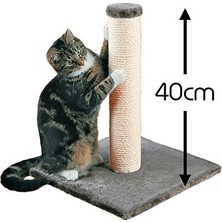 Velmora Küçük Hasır Tırmalama Tahtası - Renkli ve Kompakt Tasarım | Kedi Tırmalaması