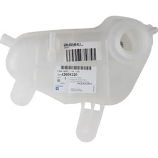 Chevrolet / Yeni Aveo (T300)  T300 Yedek Su Deposu Orjinal Gm